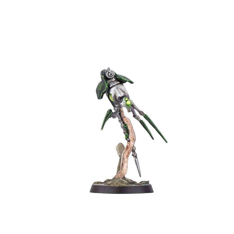 Kill Team Tomb World Necron Warrior B