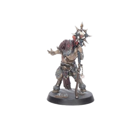 Kill Team Fellgor Ravagers Shaman