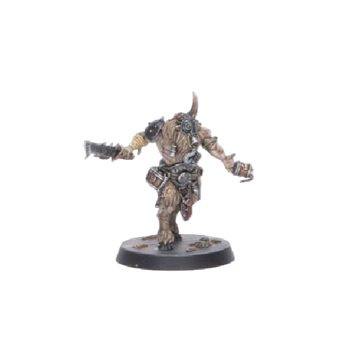 Kill Team Fellgor Ravagers Toxhorn