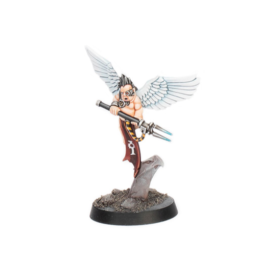 Kill Team Blood and Zeal, Sanctifiers miniature "H" Games Workshop.